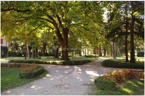 il parco dove mi sposerò