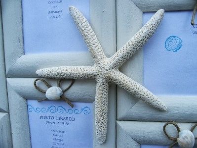 cornici e stelle marine