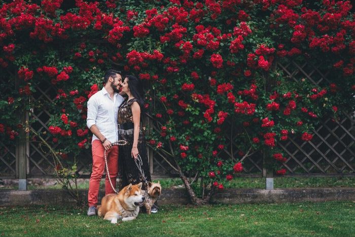 Il nostro prematrimoniale - 5