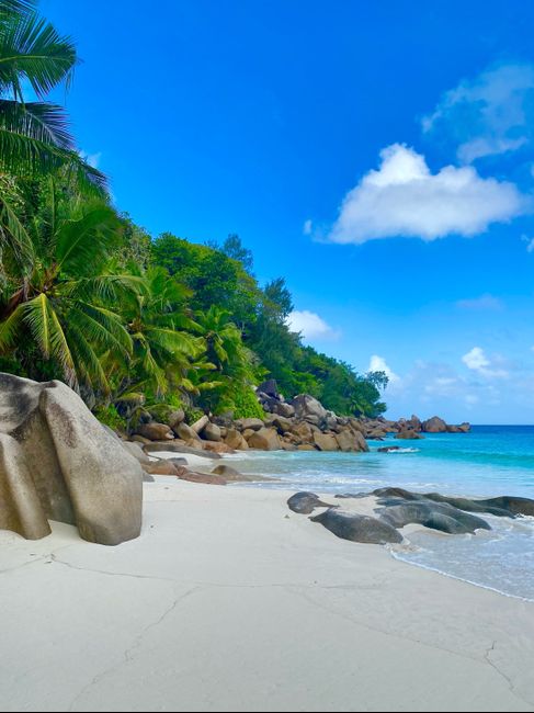 Luna di miele 💕 3