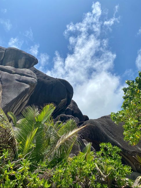 Luna di miele 💕 4