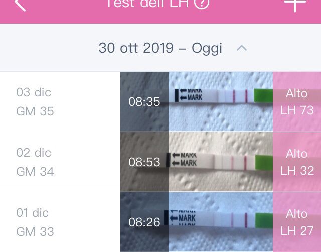 💝🎄🎉🎅🎁chi non le aspetta per dicembre 2019🎅🎁🎉🎄 - 1