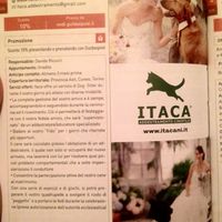 Cane per le fedi!*-* - 1