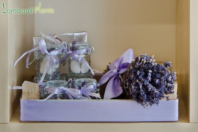 matrimonio provenzale