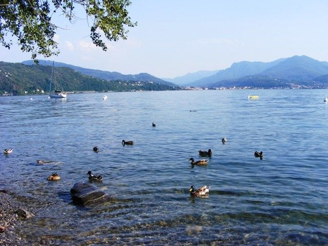 maccagno- lago maggiore