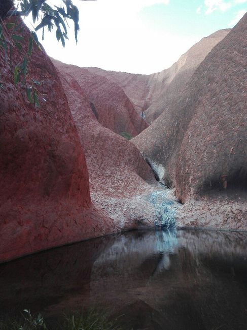  Australia, eccoci qui! -2 - 5