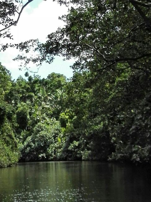  Australia, eccoci qui! -3 - 4