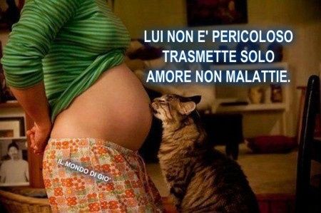 solo amore