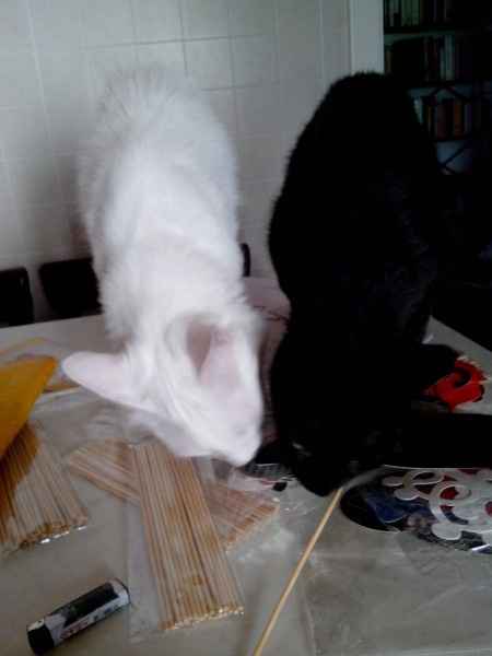 Arrivato materiale photobooth! - 2