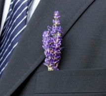 lavanda...