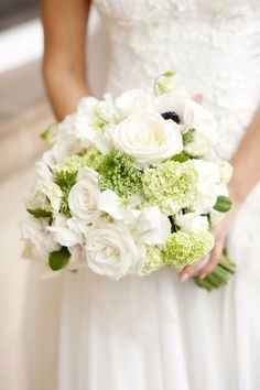 ortensie e rose