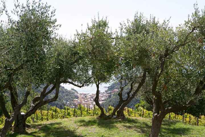 La mia location 😊 - 6