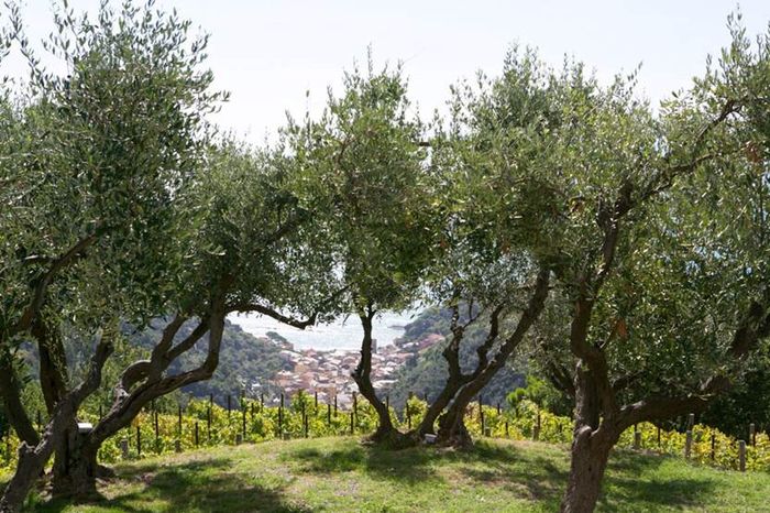 La mia location 😊 - 6