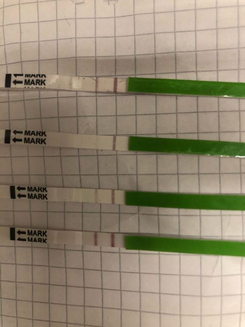 Chi non le aspetta per Marzo 2020 - 1