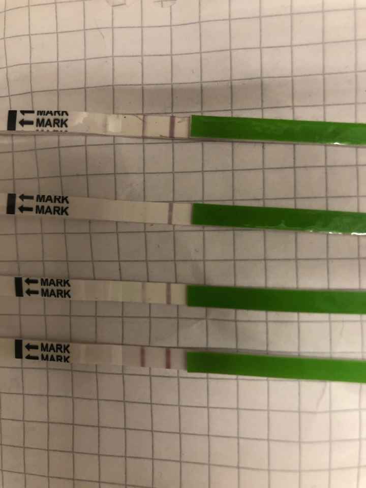 Chi non le aspetta per Marzo 2020 - 1