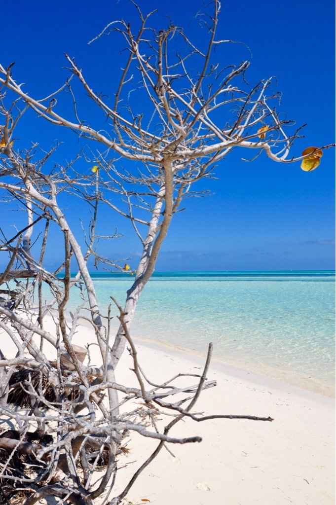 Varadero o cayo largo? - 1