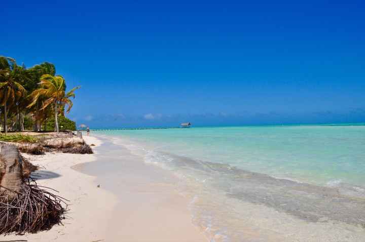 Consigli cuba - 3