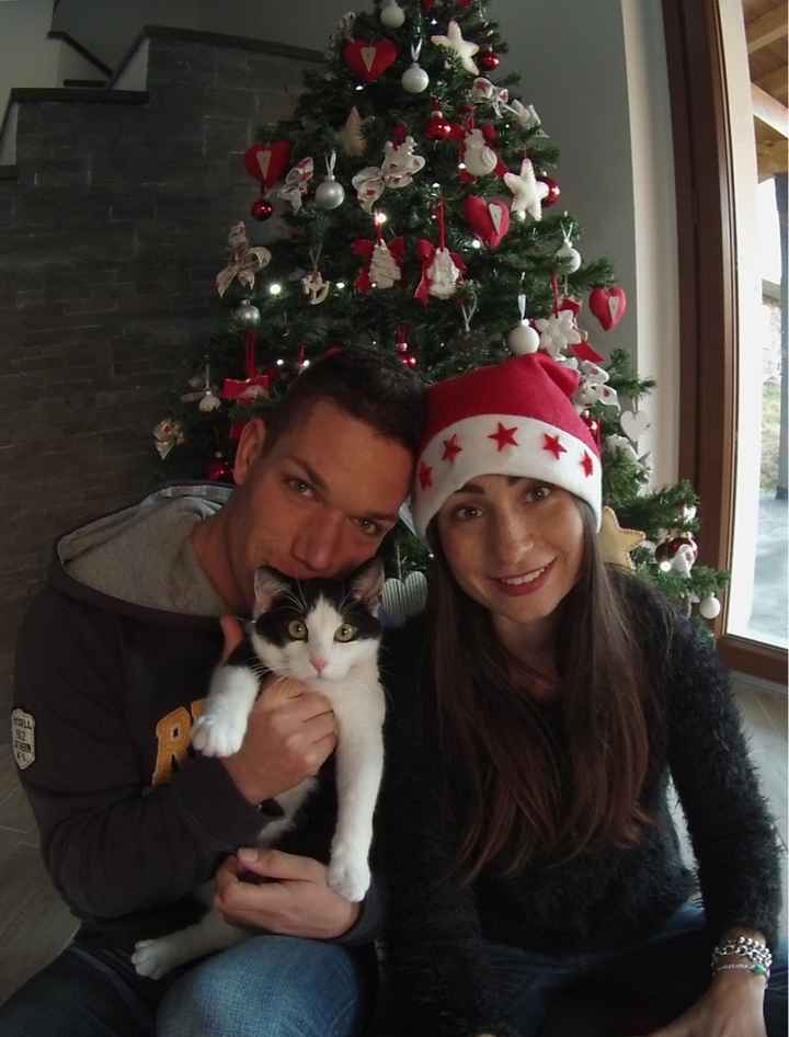 Sposine e gatti - 1