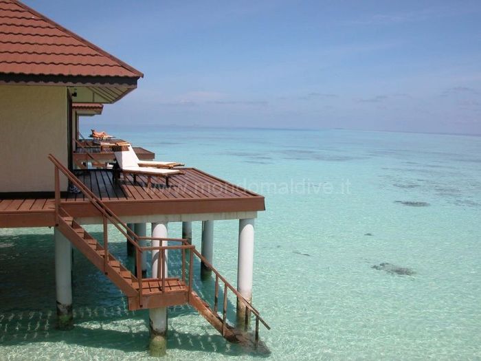 Habemus honeymoon !! - 5