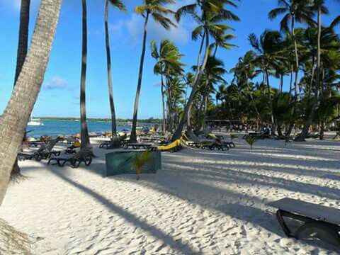  Dreams La romana Santo Domingo help - 1