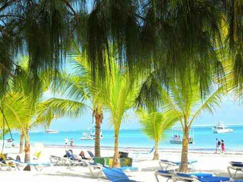  Dreams La romana Santo Domingo help - 3