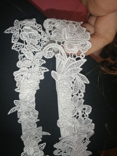 Giarrettiera arrivata 1