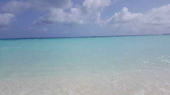 Maldive? - 2