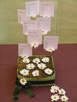 Tema fiori - 5
