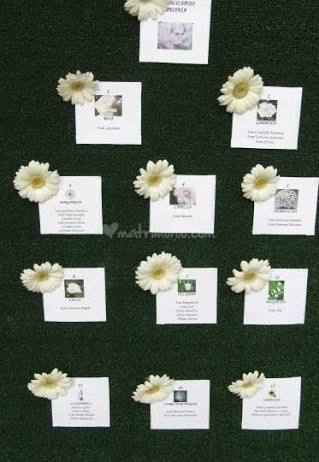 Tema fiori - 6