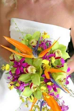 Fiori tropicali: strelitzia !qlcn  conosce???? - 3