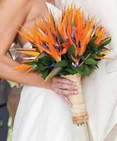 Fiori tropicali: strelitzia !qlcn  conosce???? - 5