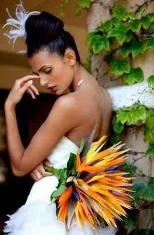Fiori tropicali: strelitzia !qlcn  conosce???? - 6