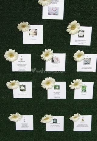 Tema fiori - 6