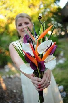 Fiori tropicali: strelitzia !qlcn  conosce???? - 4