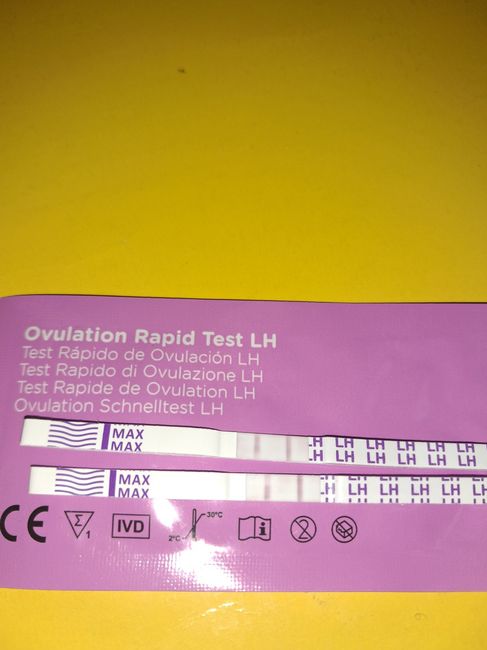 Chi non le aspetta per maggio 2024 🌹💛 3