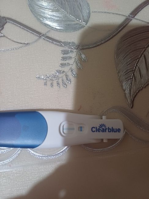 Per chi non le aspetta ottobre e novembre 🍀🐞 4