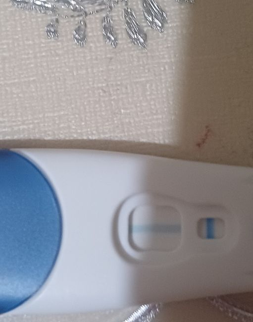 Per chi non le aspetta ottobre e novembre 🍀🐞 2