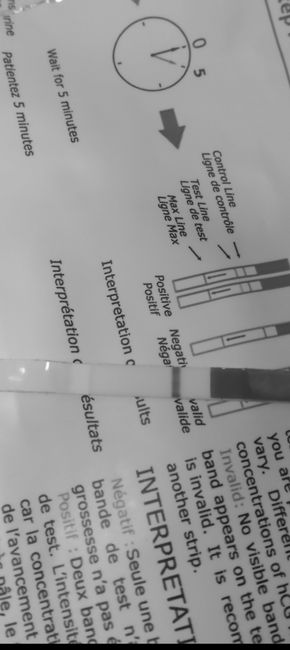 Chi non le aspetta per ottobre 2025 3