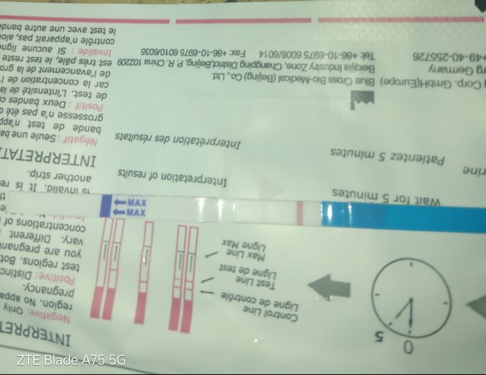 Chi non le aspetta a Novembre 2025 🍀 1