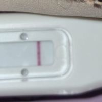 Chi non le aspetta per Agosto 2026 ☀️🍀 - 1