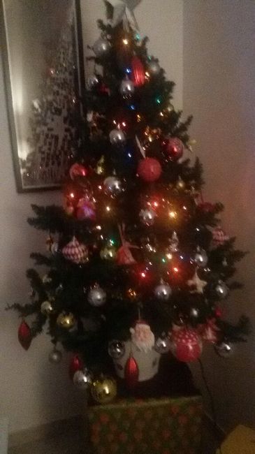 Ultimo natale da conviventi - 1