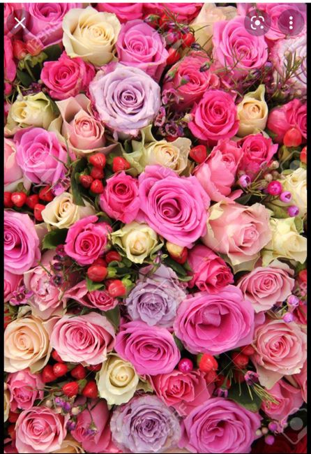 Scelta colore 1