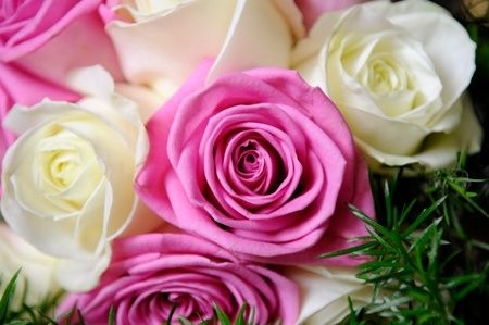 Tema e colore del matrimonio - 2