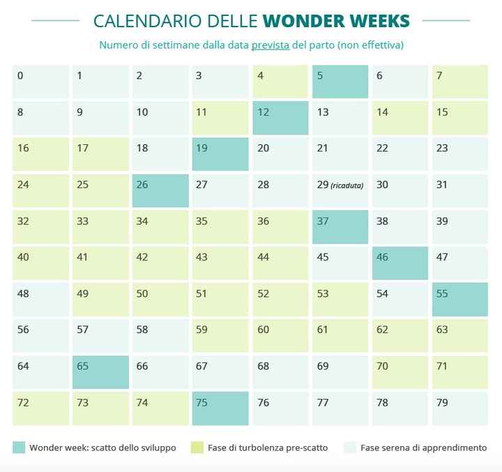 Crisi dei 14 mesi - 1