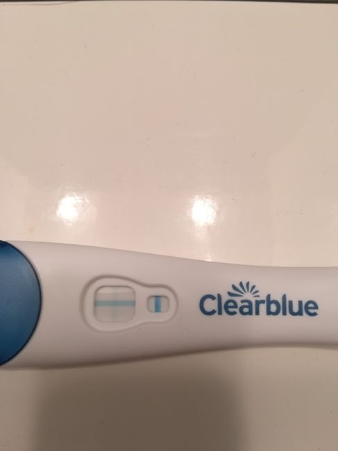 Parere su test di gravidanza - 2