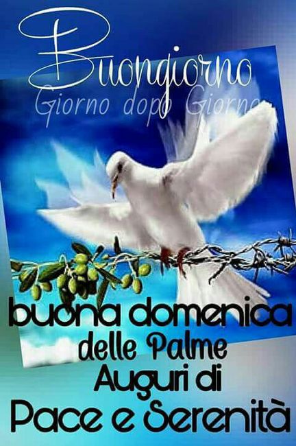 Domenica delle palme 😘 - 1