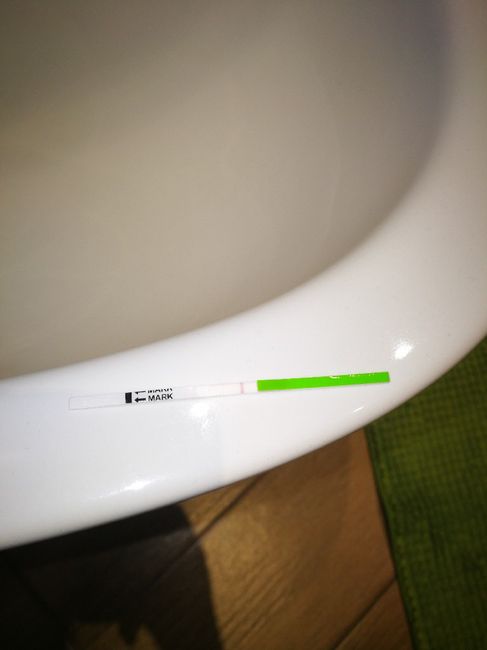 Chi non le aspetta per novembre 2019 - 1