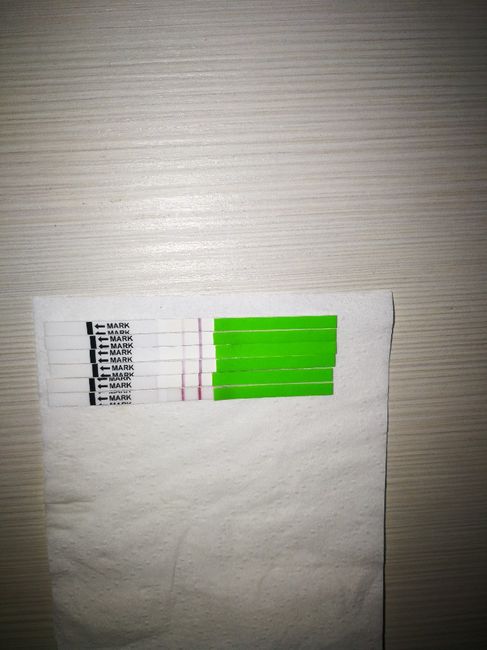 Chi non le aspetta per Marzo 2020 - 1