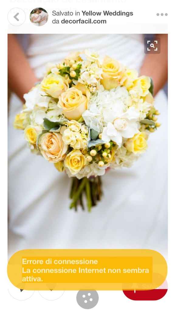 Coni, vi piacciono? - 1