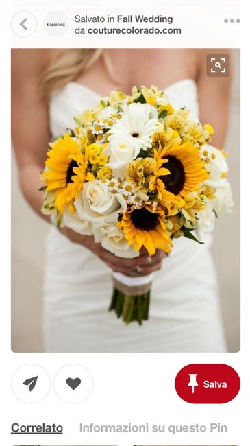 Coni, vi piacciono? - 1